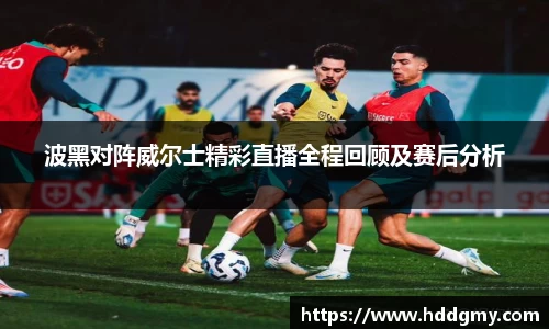 波黑对阵威尔士精彩直播全程回顾及赛后分析